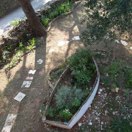 Apartment Hodak