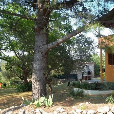 Hodak