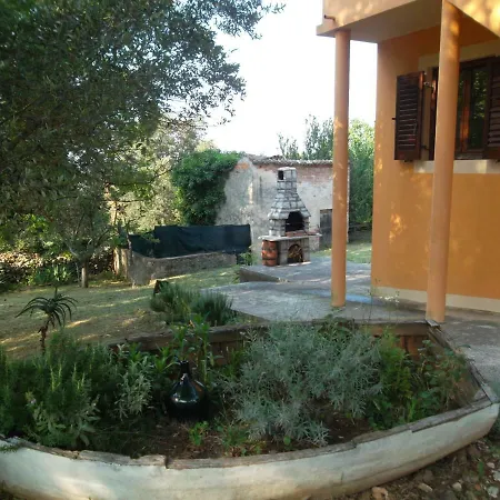 Hodak