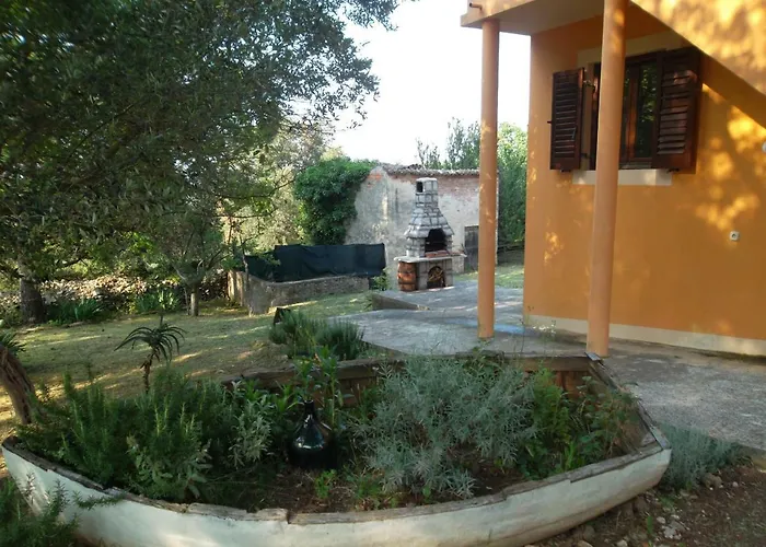 Hodak