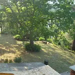 Hodak *