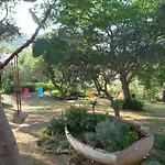Hodak