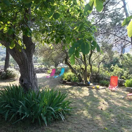 Apartamento Hodak *