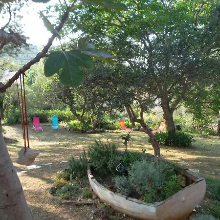Hodak